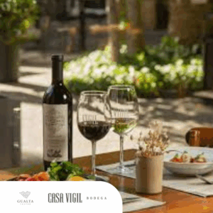 Experiencia Casa Vigil - Almuerzo